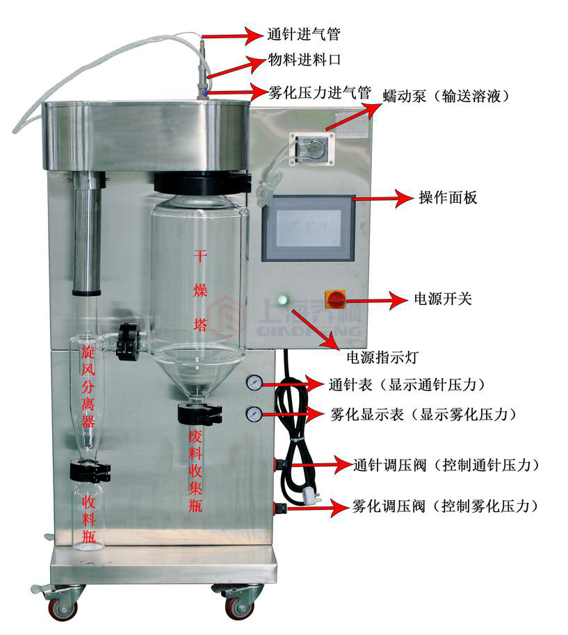 小型草莓视频在线观看免费视频的使用操作教程及技巧